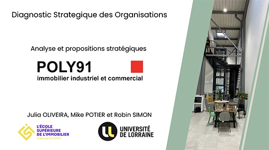 Diagnostic Strategique des Organisations - POLY91